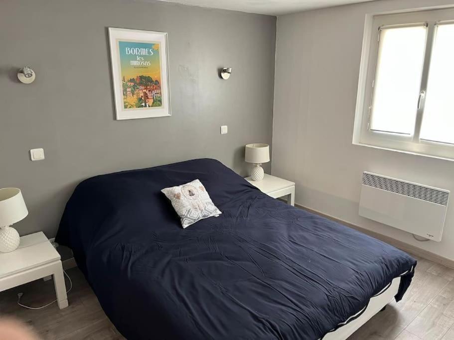 Bas De Villa 70M2 Independant Avec Espace Jacuzzi Prive Le Lavandou Zewnętrze zdjęcie